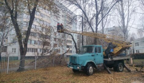 Более тысячи деревьев были спилены и обрезаны в Ульяновске, начиная с 16 октября.