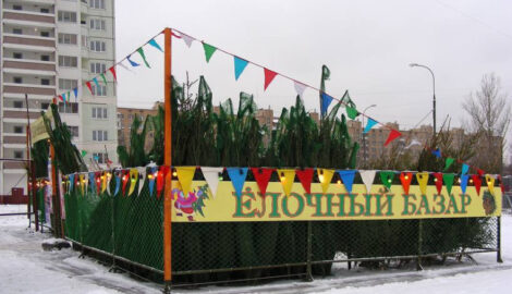 Где купить новогоднюю ёлку в Ульяновске?