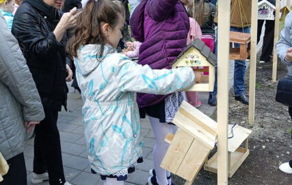 Ученики гимназии №34 преобразили парк «Молодёжный» в Ульяновске, создав уникальную экотропу