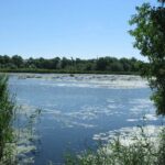Экологическая организация требует проверки строительства возле «Черного озера» в Ульяновской области