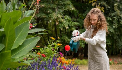 Масштабное озеленение Ульяновска: миллион цветов украсит городские клумбы