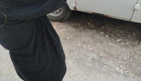 Спасатели Ульяновска помогли коту, выпавшему из окна