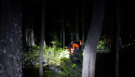 В Ульяновской области в мае пропали без вести 74 человека