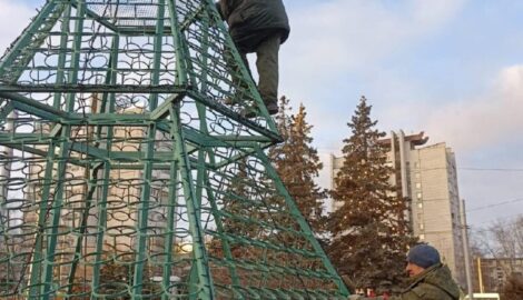 Гирлянды украсили горшкоелку на Пушкаревском кольце