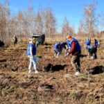 В Ульяновской области дали новую жизнь лесу в память о подвиге героев
