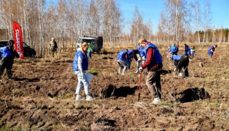 В Ульяновской области дали новую жизнь лесу в память о подвиге героев