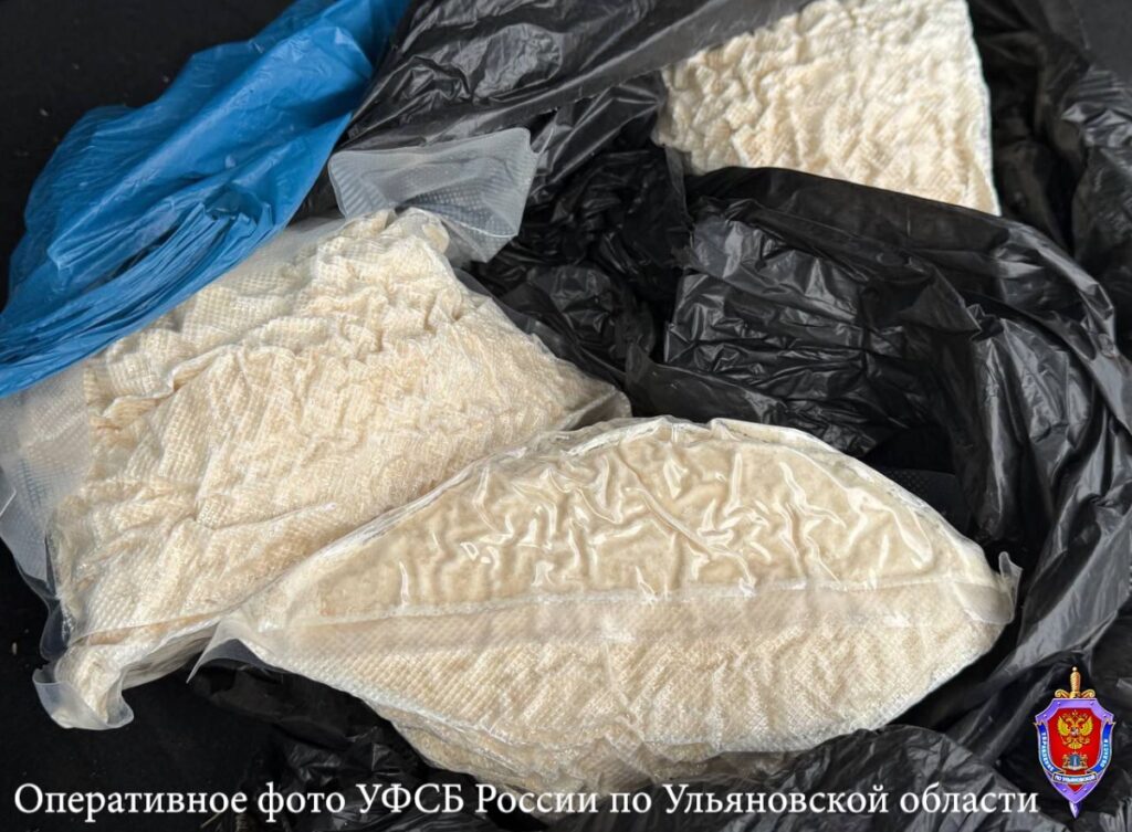 В Ульяновской области перекрыт канал поставки наркотиков: задержан курьер с 3 кг "соли"