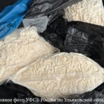 В Ульяновской области перекрыт канал поставки наркотиков: задержан курьер с 3 кг "соли"