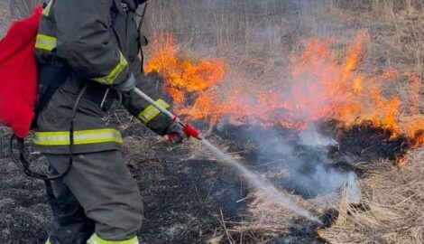 В Ульяновске пожарные оперативно потушили 150 кв.м. горящей травы на улице Шолмова