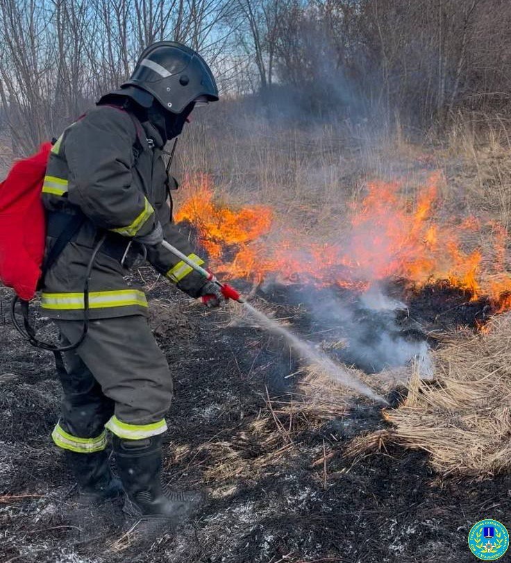 В Ульяновске пожарные оперативно потушили 150 кв.м. горящей травы на улице Шолмова