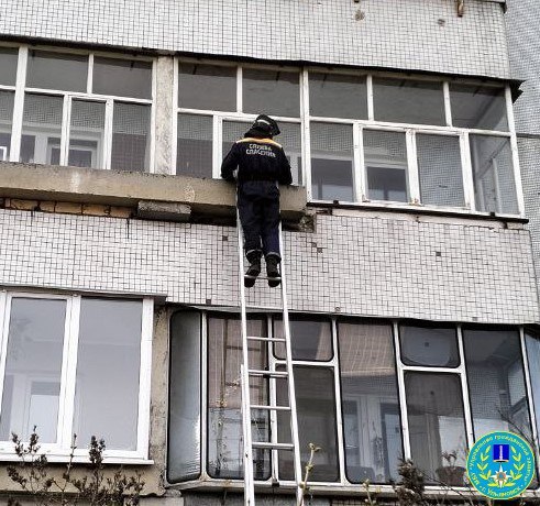 Тревожный звонок и оперативная помощь: в Ульяновске спасли пожилую женщину, оказавшуюся в беде