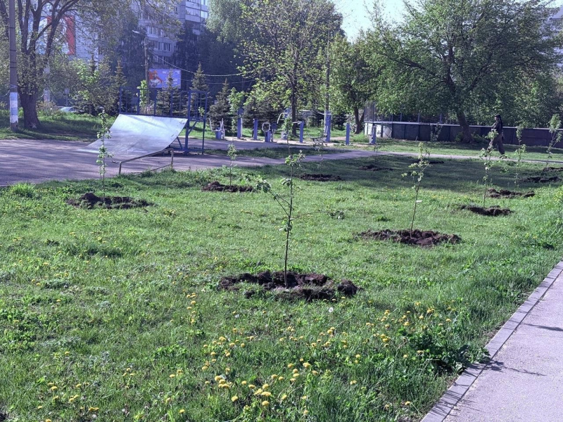 В Ульяновске: сквер «Олимпийский» украсила яблоневая аллея в честь 80-летия Великой Победы