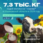 Ульяновская область установила рекорд по надою молока за 10 лет