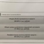 Шокирующие итоги: 260 миллионов рублей не спасли Винновскую рощу от экологической катастрофы