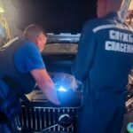 Невероятное спасение: Котёнок застрял под капотом, но обрёл семью
