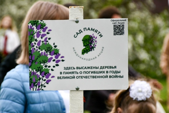 Заросли памяти: Почему Сад в Димитровграде стал символом пренебрежения?