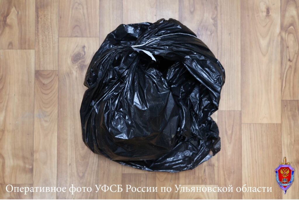 Громкий приговор: 6 кг мефедрона и отсрочка наказания для жительницы Подмосковья