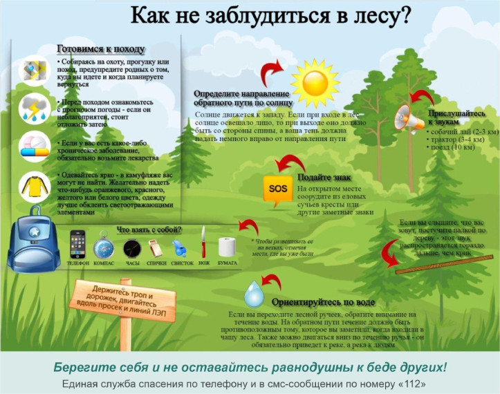 Готовимся к лесу: полный чек-лист для безопасного похода и выживания