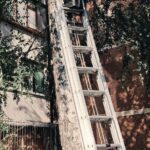 Героическое спасение в Ульяновске: Кошка, сутки просидевшая на дереве, наконец в безопасности