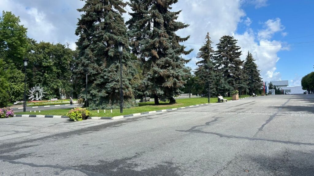Городская эспланада Ульяновска: Открытие оазиса с сотнями растений в дизайнерских вазонах