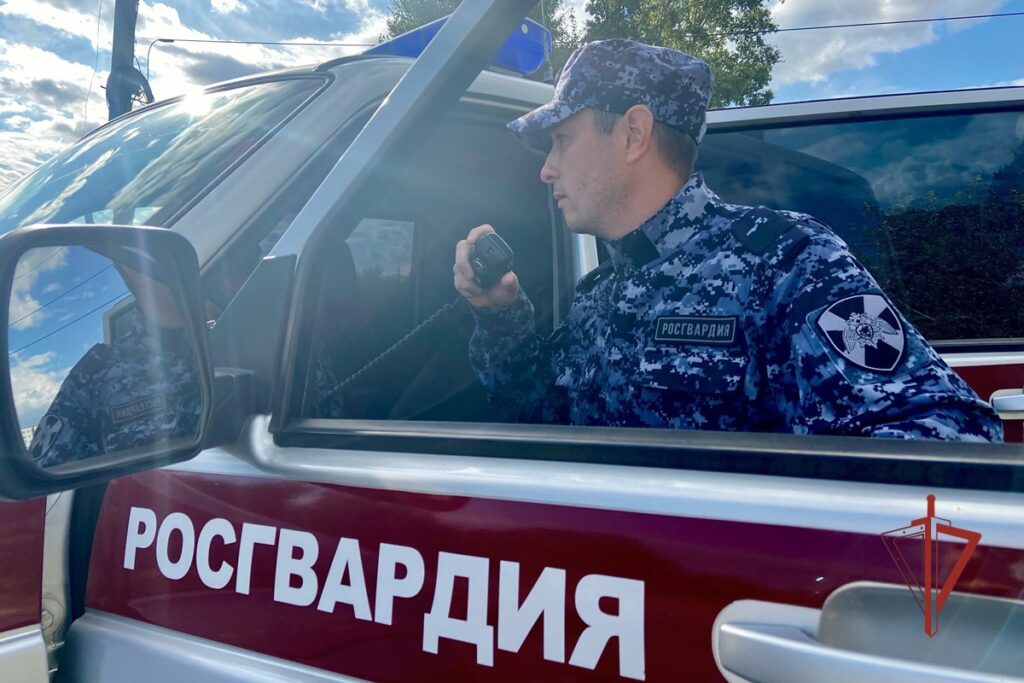 В Ульяновске рецидивист задержан при попытке кражи из строительного гипермаркета на Московском шоссе