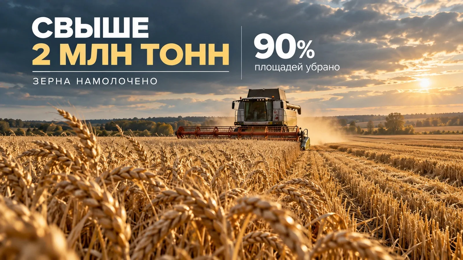 В Ульяновской области намолотили свыше двух миллионов тонн зерна