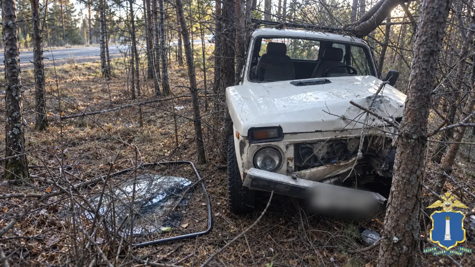 На трассе в Вешкаймском районе водитель без прав съехал с дороги и врезался в дерево